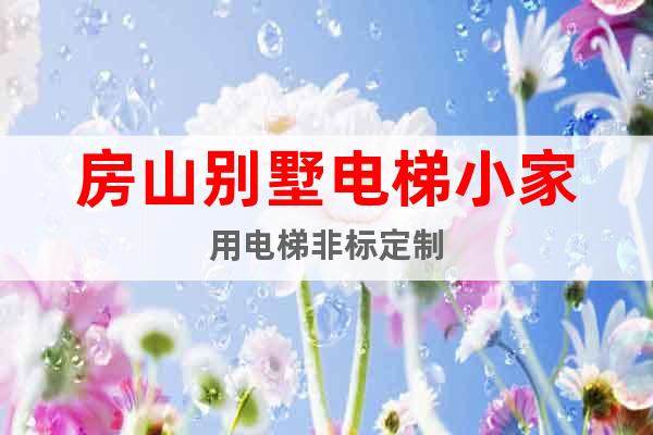 房山別墅電梯小家用電梯非標定制