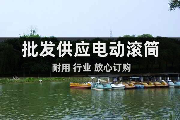 批發(fā)供應(yīng)電動(dòng)滾筒 耐用 行業(yè) 放心訂購(gòu)