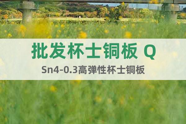 批發(fā)杯士銅板 QSn4-0.3高彈性杯士銅板