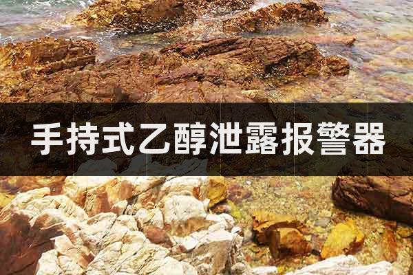 手持式乙醇泄露報(bào)警器