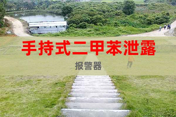 手持式二甲苯泄露報(bào)警器