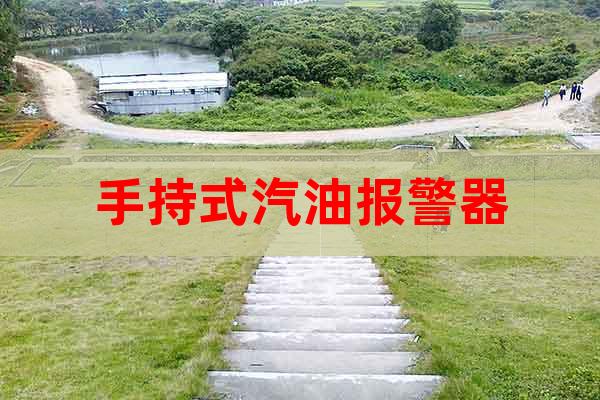 手持式汽油報(bào)警器