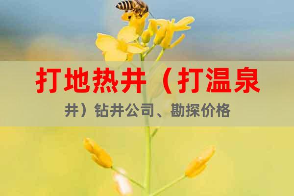 打地?zé)峋ù驕厝┿@井公司、勘探價格