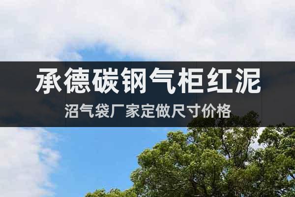 承德碳鋼氣柜紅泥沼氣袋廠家定做尺寸價格