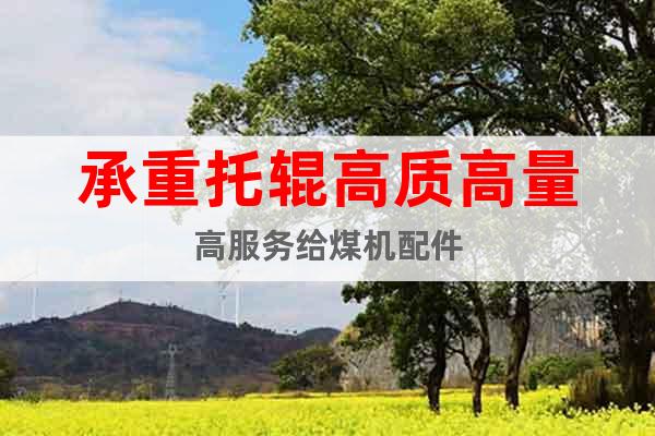 承重托輥高質(zhì)高量高服務給煤機配件