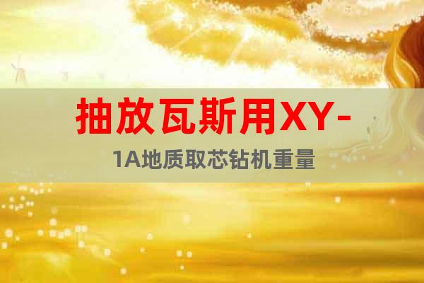 抽放瓦斯用XY-1A地質(zhì)取芯鉆機(jī)重量