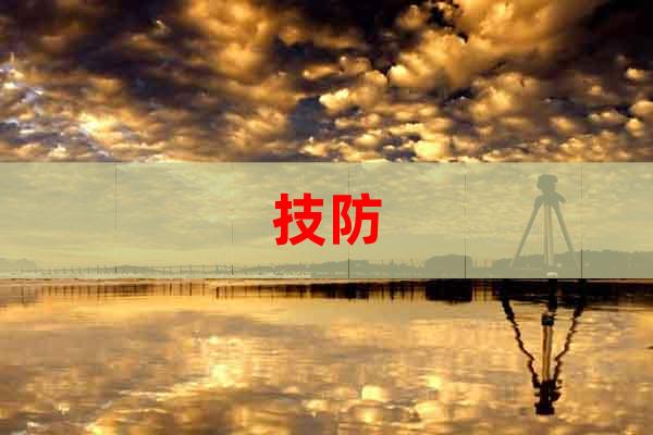 技防