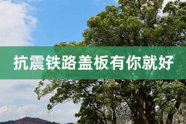 抗震鐵路蓋板有你就好