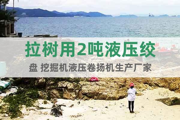拉樹用2噸液壓絞盤 挖掘機(jī)液壓卷揚(yáng)機(jī)生產(chǎn)廠家