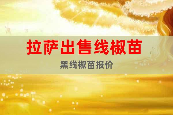 拉薩出售線椒苗 黑線椒苗報價