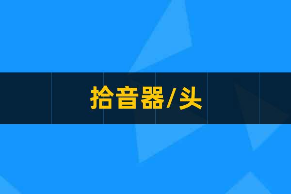 拾音器/頭
