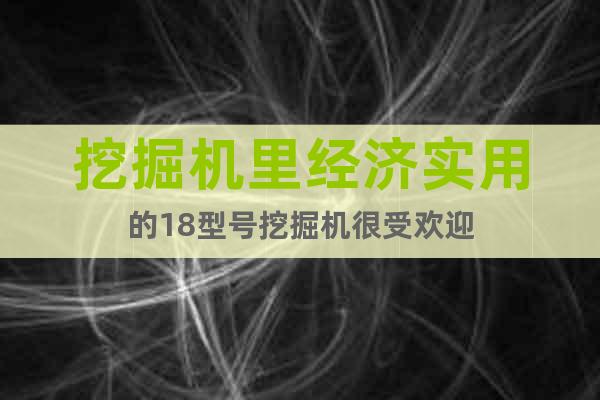 挖掘機(jī)里經(jīng)濟(jì)實(shí)用的18型號(hào)挖掘機(jī)很受歡迎