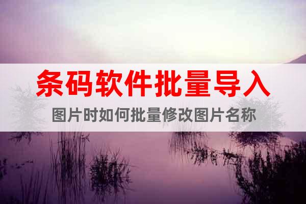 條碼軟件批量導(dǎo)入圖片時(shí)如何批量修改圖片名稱