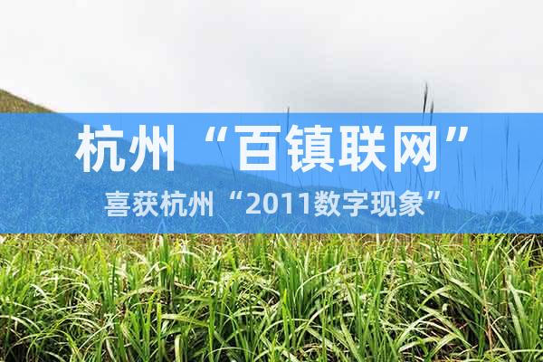 杭州“百镇联网”喜获杭州“2011数字现象”