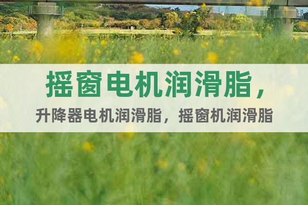 搖窗電機潤滑脂，升降器電機潤滑脂，搖窗機潤滑脂