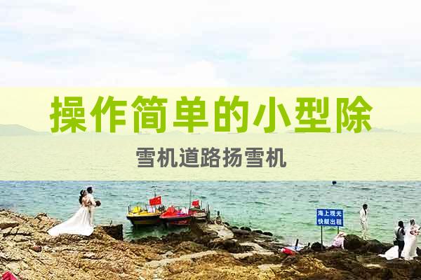操作簡(jiǎn)單的小型除雪機(jī)道路揚(yáng)雪機(jī)