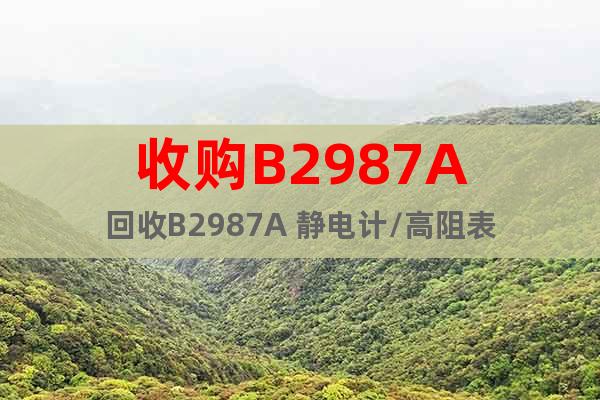 收购B2987A回收B2987A 静电计/高阻表