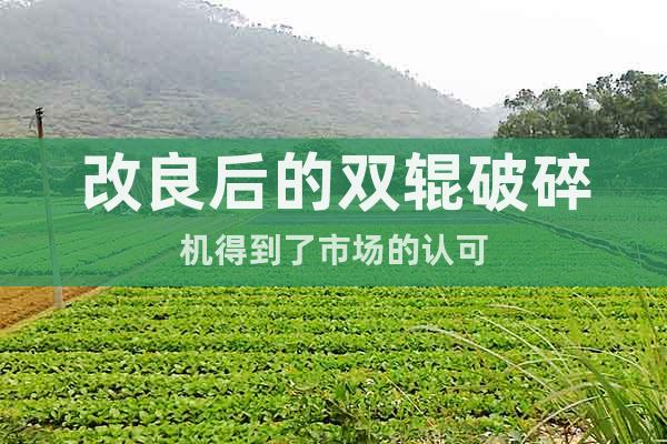 改良后的雙輥破碎機(jī)得到了市場(chǎng)的認(rèn)可