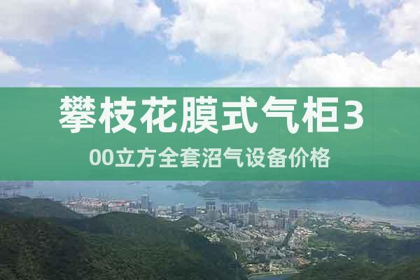 攀枝花膜式氣柜300立方全套沼氣設(shè)備價(jià)格