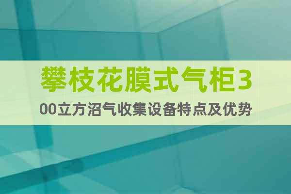 攀枝花膜式氣柜300立方沼氣收集設(shè)備特點(diǎn)及優(yōu)勢