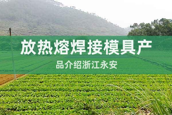 放熱熔焊接模具產(chǎn)品介紹浙江永安