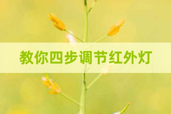 教你四步調(diào)節(jié)紅外燈