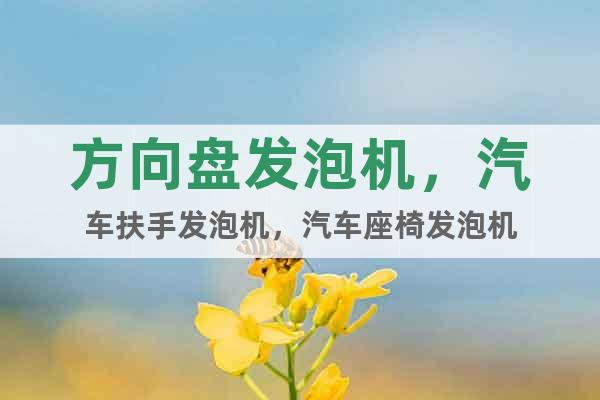 方向盤發(fā)泡機(jī)，汽車扶手發(fā)泡機(jī)，汽車座椅發(fā)泡機(jī)
