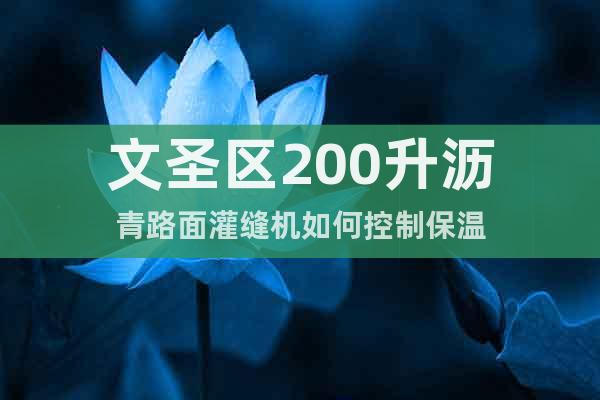 文圣區(qū)200升瀝青路面灌縫機(jī)如何控制保溫