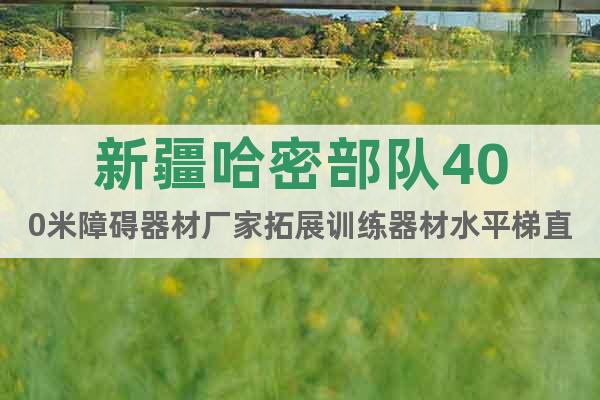 新疆哈密部隊(duì)400米障礙器材廠家拓展訓(xùn)練器材水平梯直銷