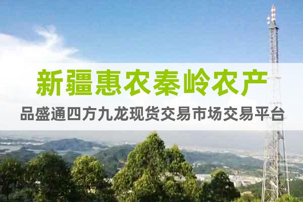 新疆惠農(nóng)秦嶺農(nóng)產(chǎn)品盛通四方九龍現(xiàn)貨交易市場(chǎng)交易平臺(tái)