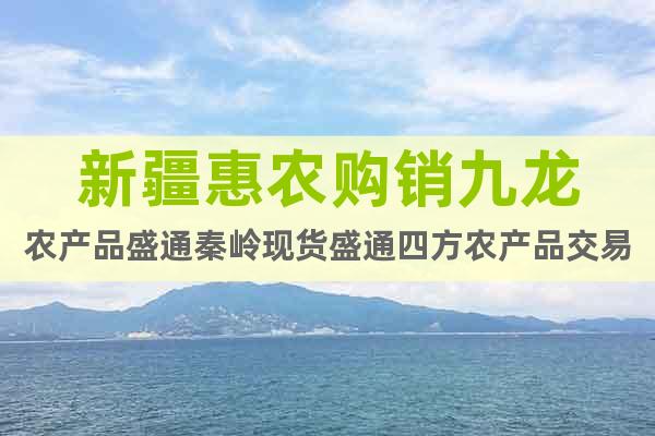 新疆惠農購銷九龍農產品盛通秦嶺現(xiàn)貨盛通四方農產品交易