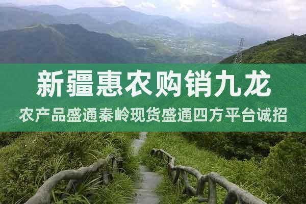 新疆惠农购销九龙农产品盛通秦岭现货盛通四方平台诚招