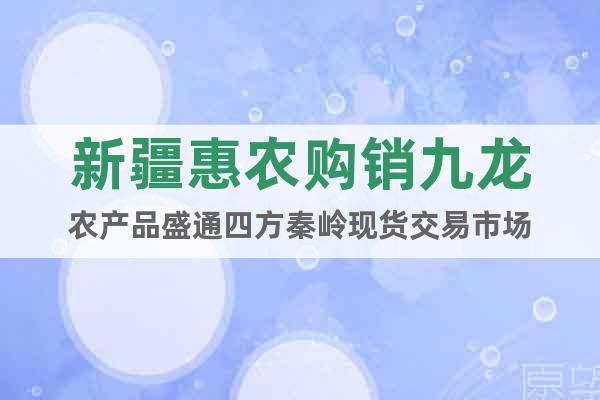 新疆惠農(nóng)購銷九龍農(nóng)產(chǎn)品盛通四方秦嶺現(xiàn)貨交易市場