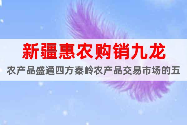 新疆惠農購銷九龍農產品盛通四方秦嶺農產品交易市場的五大要領