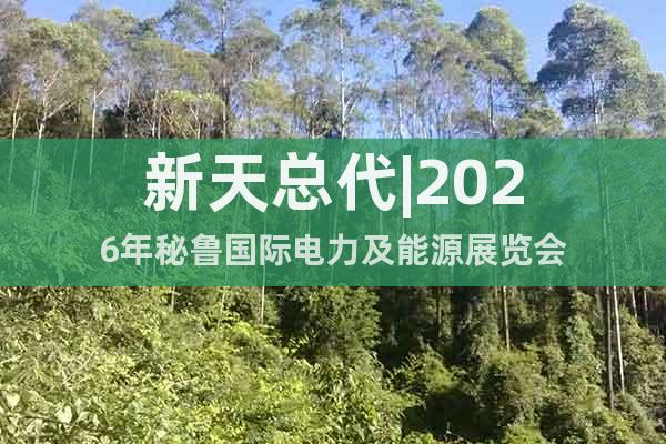 新天總代|2026年秘魯國(guó)際電力及能源展覽會(huì)
