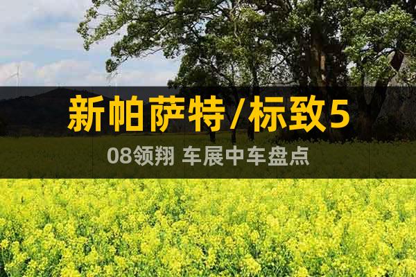 新帕薩特/標(biāo)致508領(lǐng)翔 車展中車盤點(diǎn)
