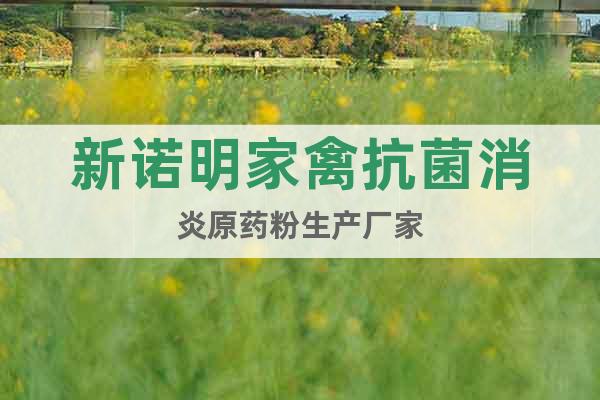 新諾明家禽抗菌消炎原藥粉生產(chǎn)廠家