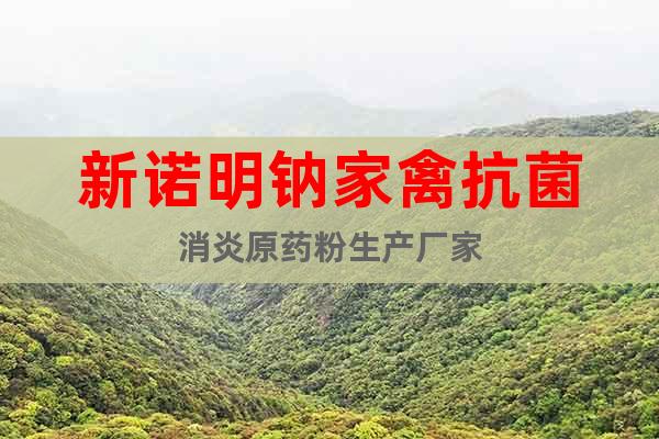 新諾明鈉家禽抗菌消炎原藥粉生產(chǎn)廠家