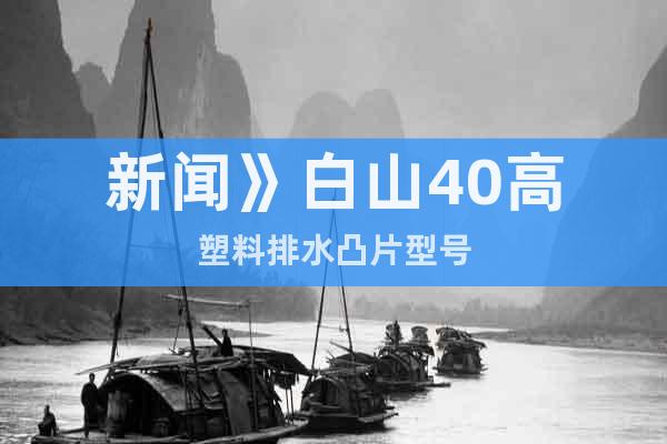 新聞》白山40高塑料排水凸片型號(hào)
