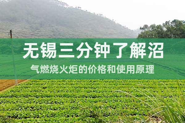 無錫三分鐘了解沼氣燃燒火炬的價格和使用原理
