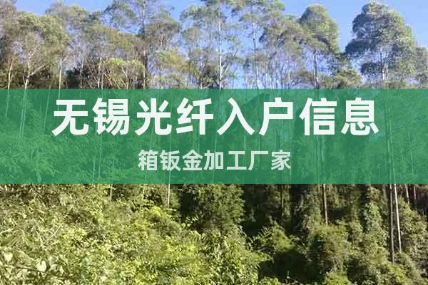 無錫光纖入戶信息箱鈑金加工廠家