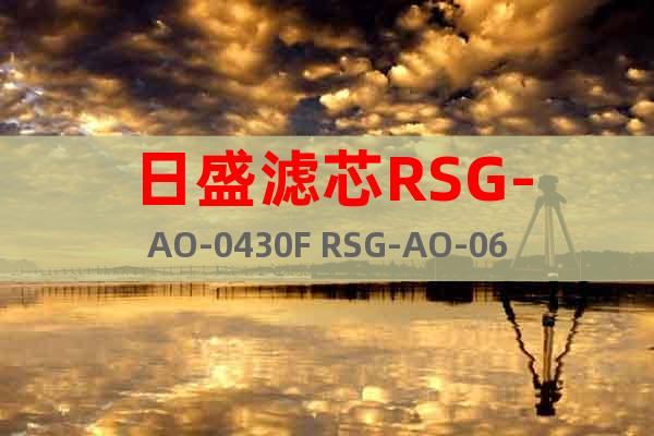 日盛濾芯RSG-AO-0430F RSG-AO-0620F