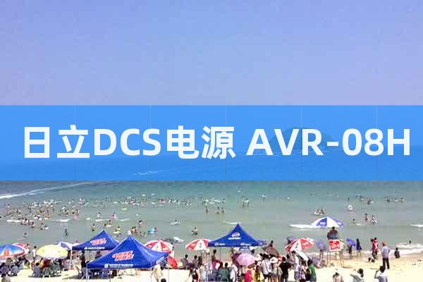 日立DCS电源 AVR-08H