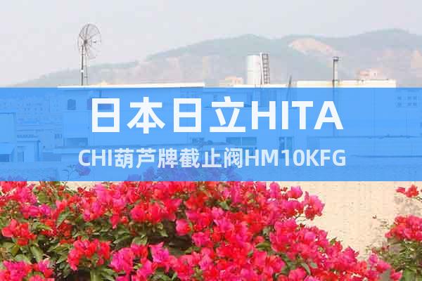 日本日立HITACHI葫芦牌截止阀HM10KFG