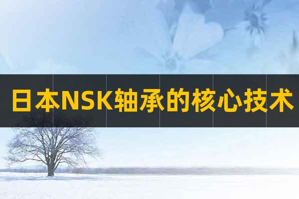 日本NSK轴承的核心技术