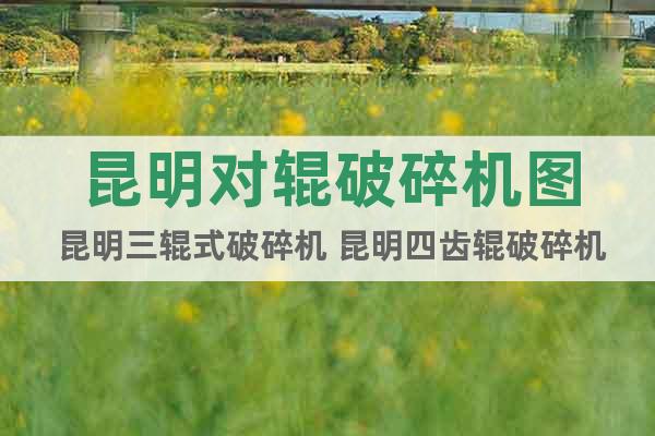 昆明對(duì)輥破碎機(jī)圖 昆明三輥式破碎機(jī) 昆明四齒輥破碎機(jī)廠家