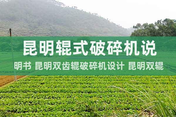 昆明輥式破碎機(jī)說(shuō)明書 昆明雙齒輥破碎機(jī)設(shè)計(jì) 昆明雙輥式破碎機(jī)