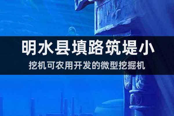 明水縣填路筑堤小挖機(jī)可農(nóng)用開(kāi)發(fā)的微型挖掘機(jī)