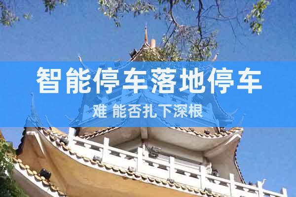 智能停車落地停車難 能否扎下深根