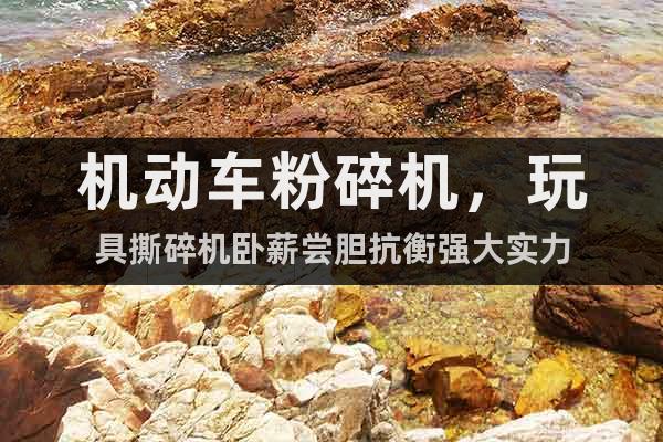 機動車粉碎機，玩具撕碎機臥薪嘗膽抗衡強大實力